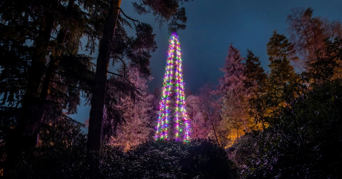 Ovo je najviše božićno drvce na svijetu