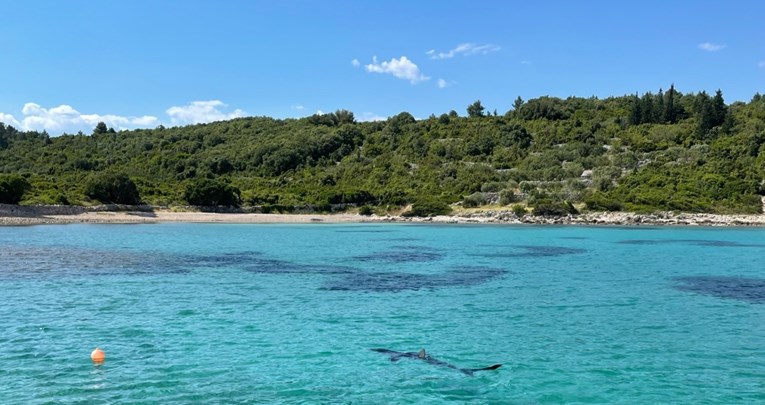 U moru kod Korčule uočila nesvakidašnji prizor: "Koprcao se i lamatao repom"