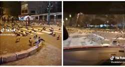 Snimka iz Sarajeva širi se društvenim mrežama: Što su vrane radile noću na ulici?
