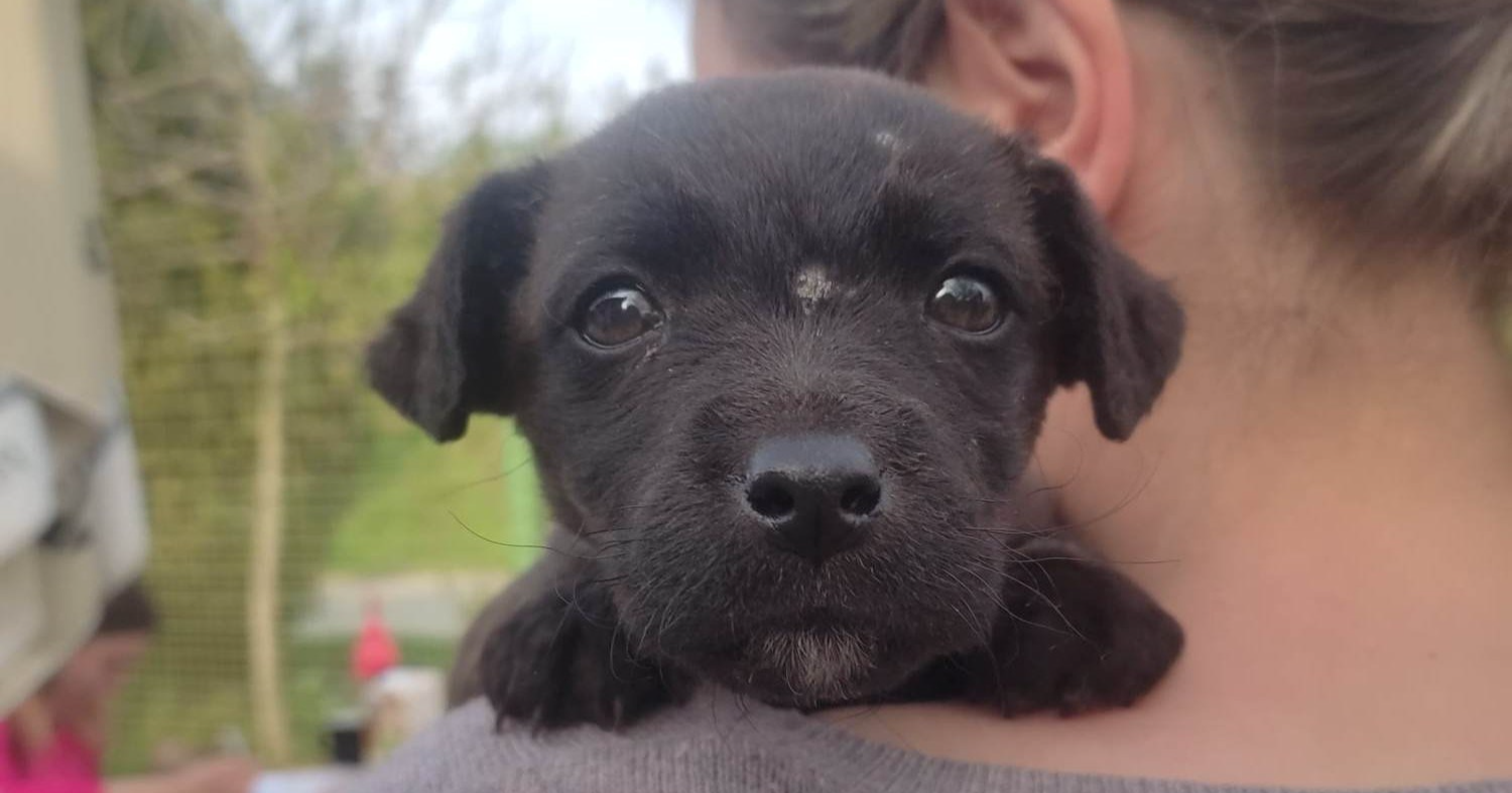Emica je pronašla svoje ljude, ali joj još samo treba prijevoz do Zagreba
