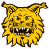 ILVES