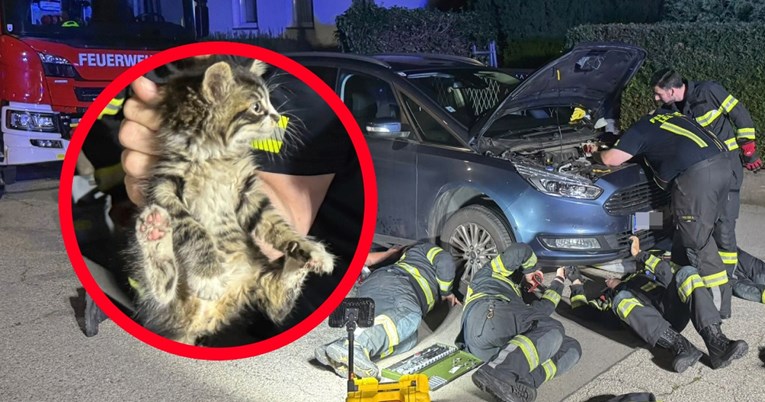 Vraćali se s odmora u Hrvatskoj pa čuli zvukove u autu. Vatrogasci izvukli mačića