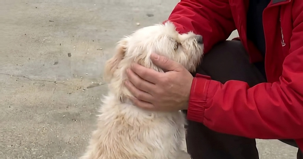 Policajac udomio psića kojeg je spasio iz kontejnera za smeće