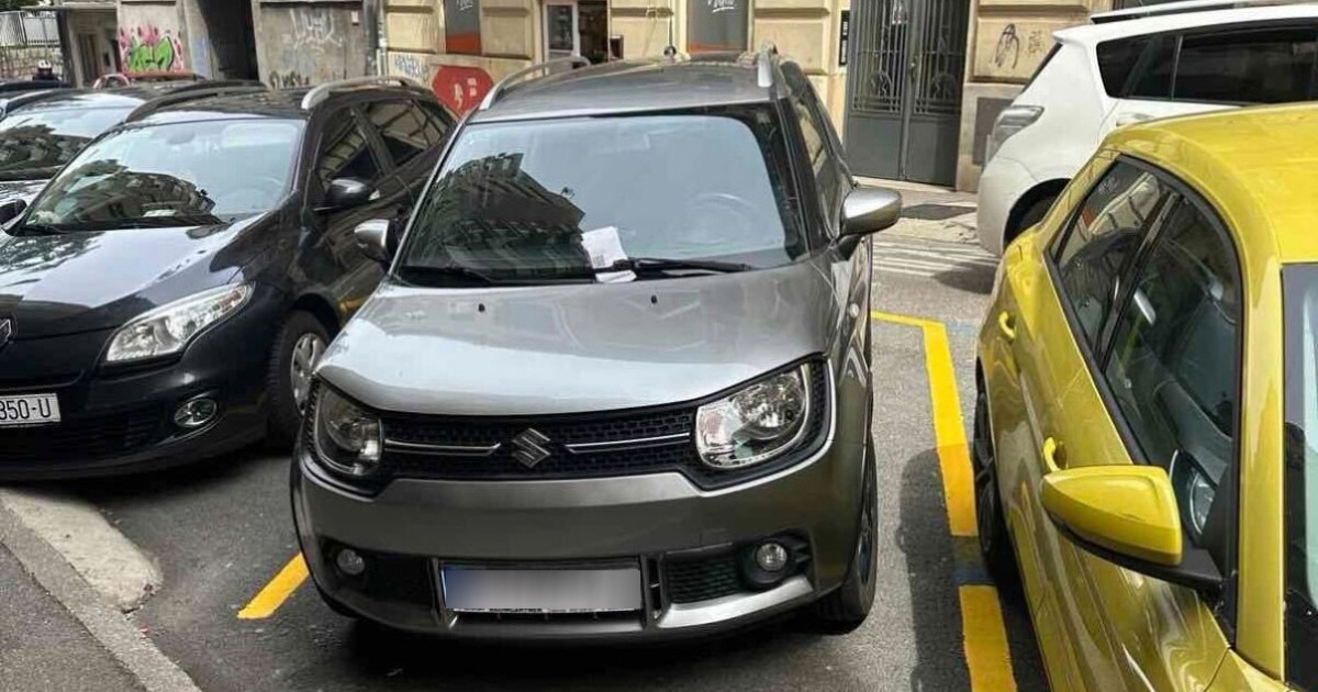 Riječanki preko noći prebojili parking. Ujutro je dočekala kazne i pauk