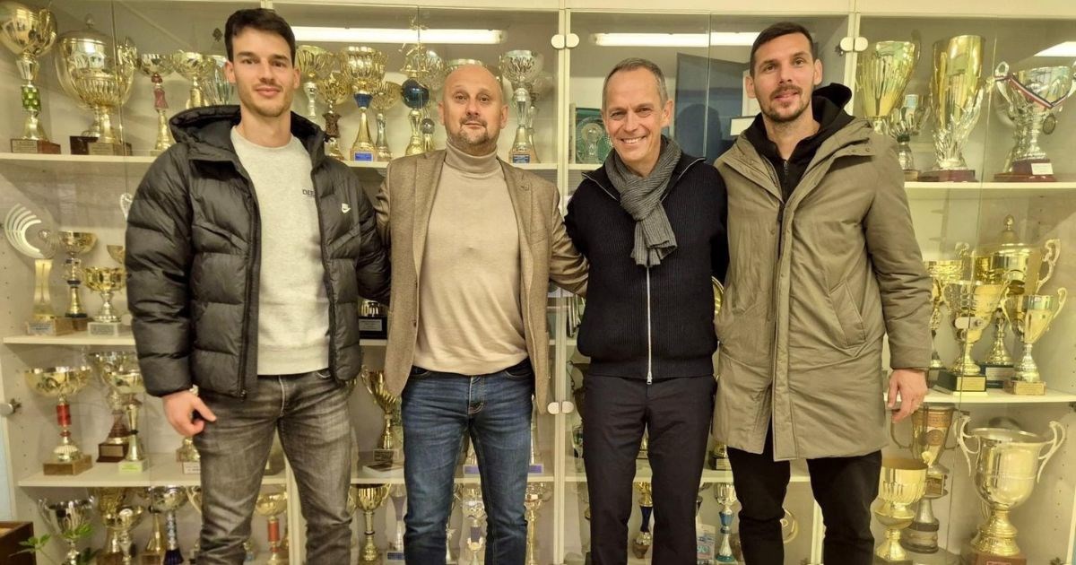 Cibalia ugostila Layeca