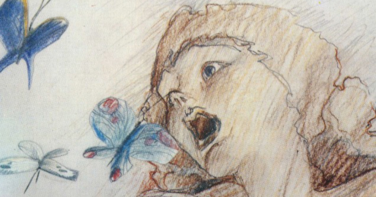 Zdenko Gašparović dobio Zlatnog Oktavijana za životno djelo