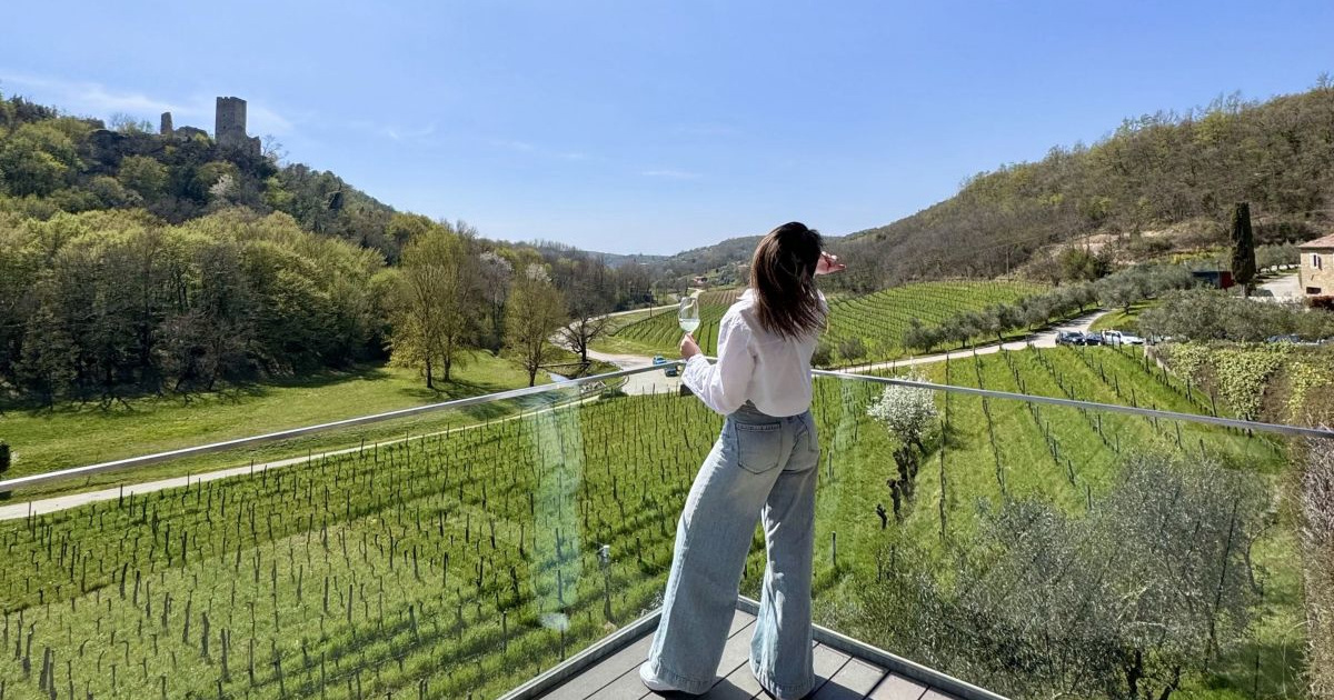 Svaka treća boca vina u trgovinama je uvezena