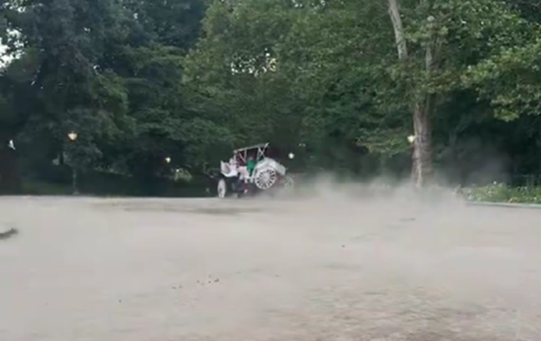 Vozač izašao iz kočije u Central Parku, konj krenuo u galop. Poginuo mladi turist