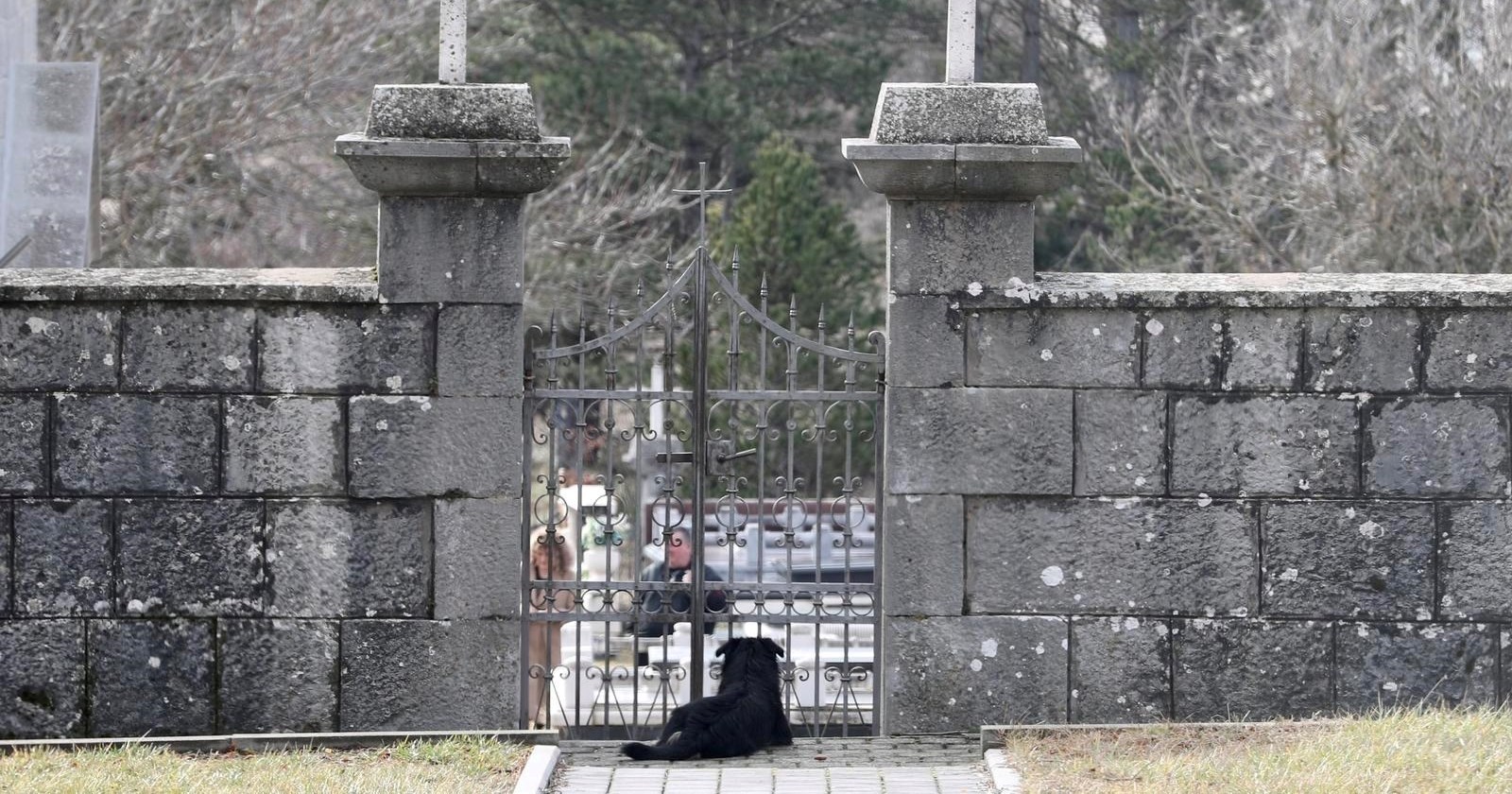 FOTO Pas Bruno svakodnevno obilazi groblje gdje je pokopan njegov vlasnik