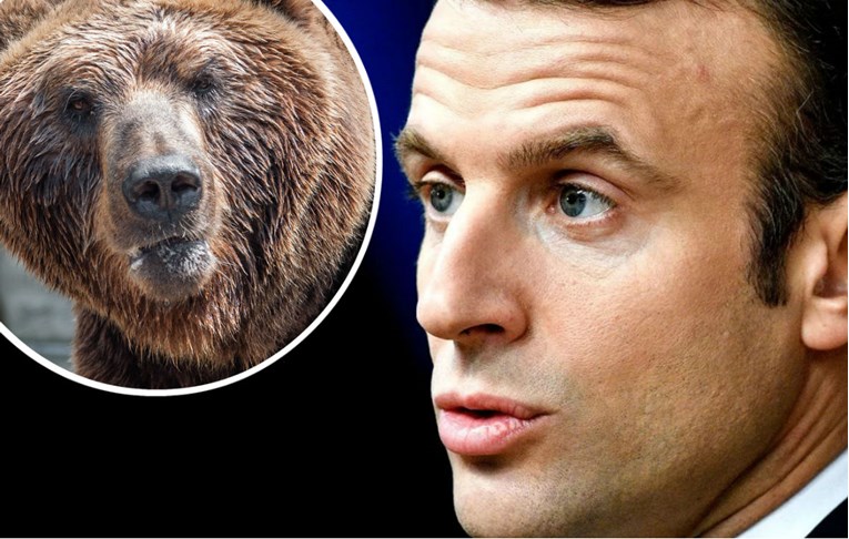 Francuski predsjednik Macron zabranio uvoz medvjeda iz Slovenije