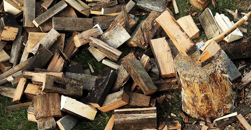 Bjelovarčanka kažnjena jer je iz vlastitog vinograda uzela drva za grijanje