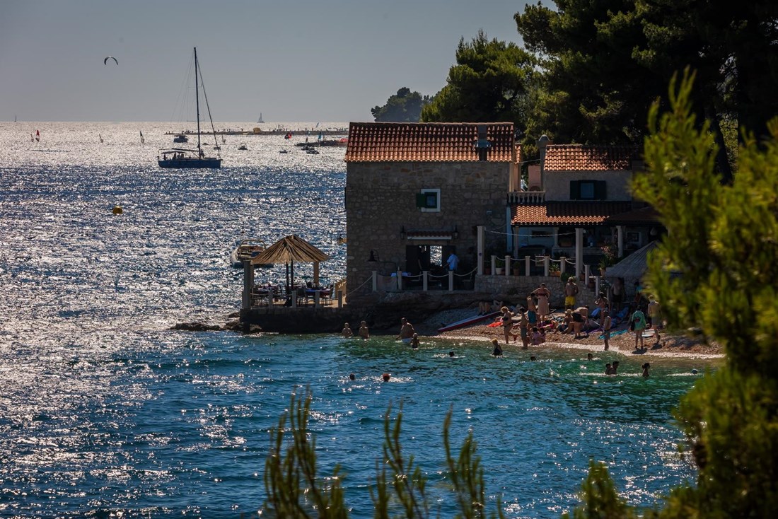 Prvi Muzej fjake na svijetu sutra se otvara izložbama u virtualnoj galeriji