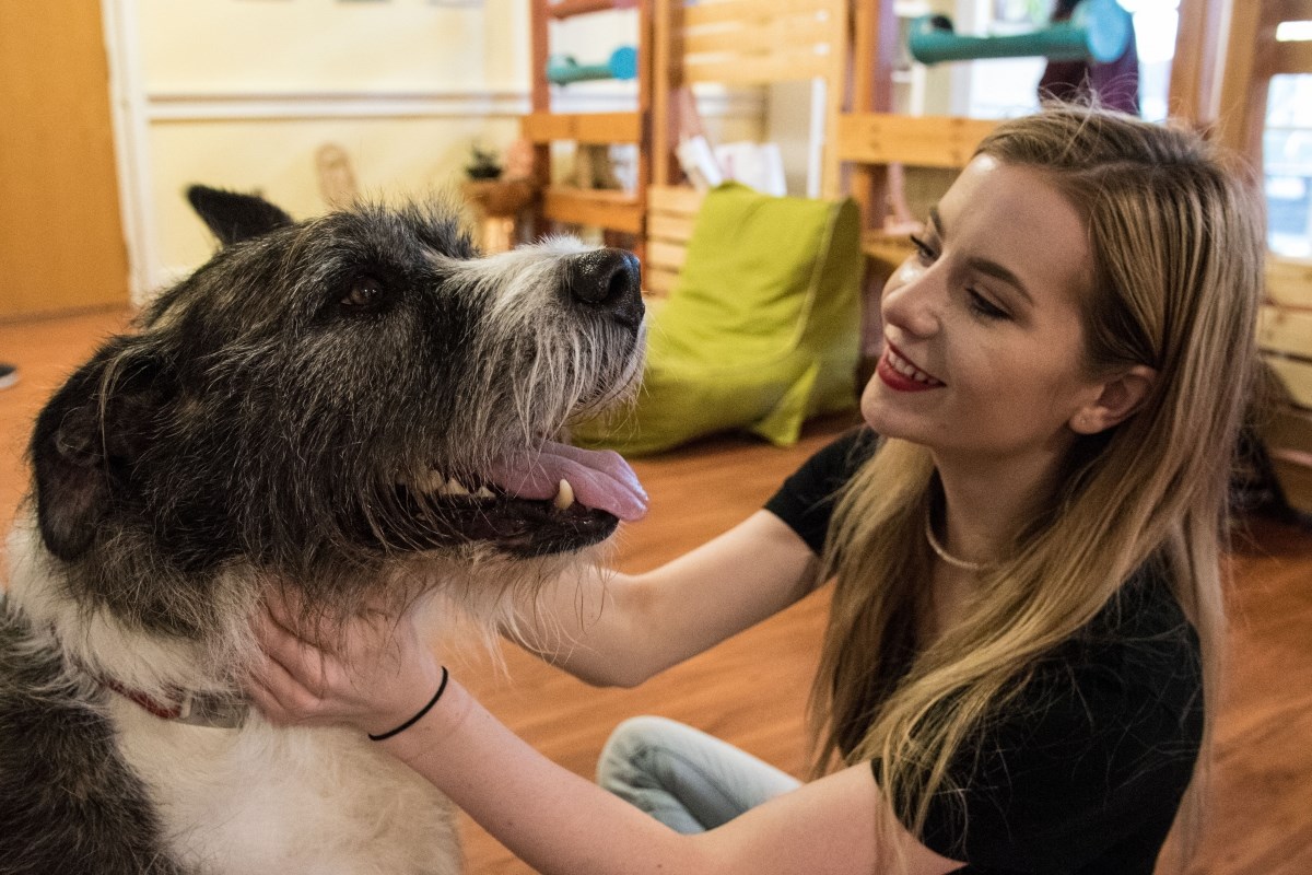 Koronavirus je svuda oko nas. Zaštitite svoje ljubimce i ojačajte im imunitet