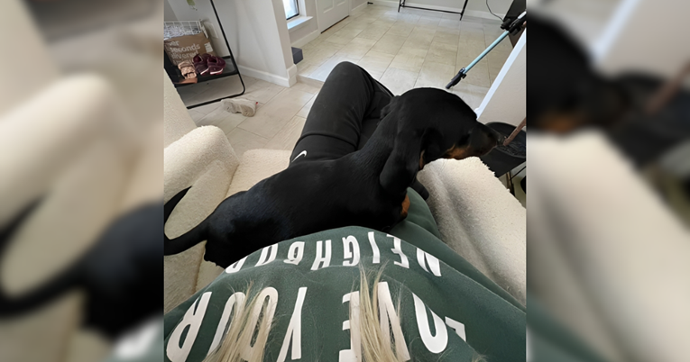 Pas osjetio da je njegova vlasnica trudna: ''Znao je to čak i prije mene''