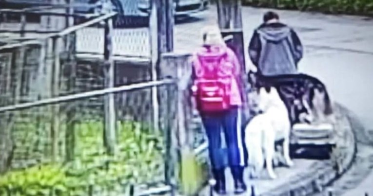 Tko je ostavio pse u šumi kraj Zagreba? Udruge objavile fotografije sumnjivaca