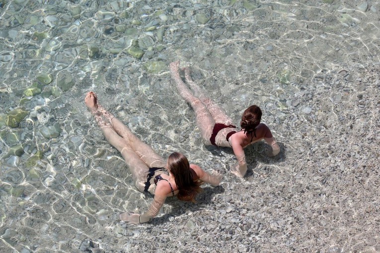 Rekordne temperature europskih mora. "Hobotnice iz Afrike dolaze u Englesku"