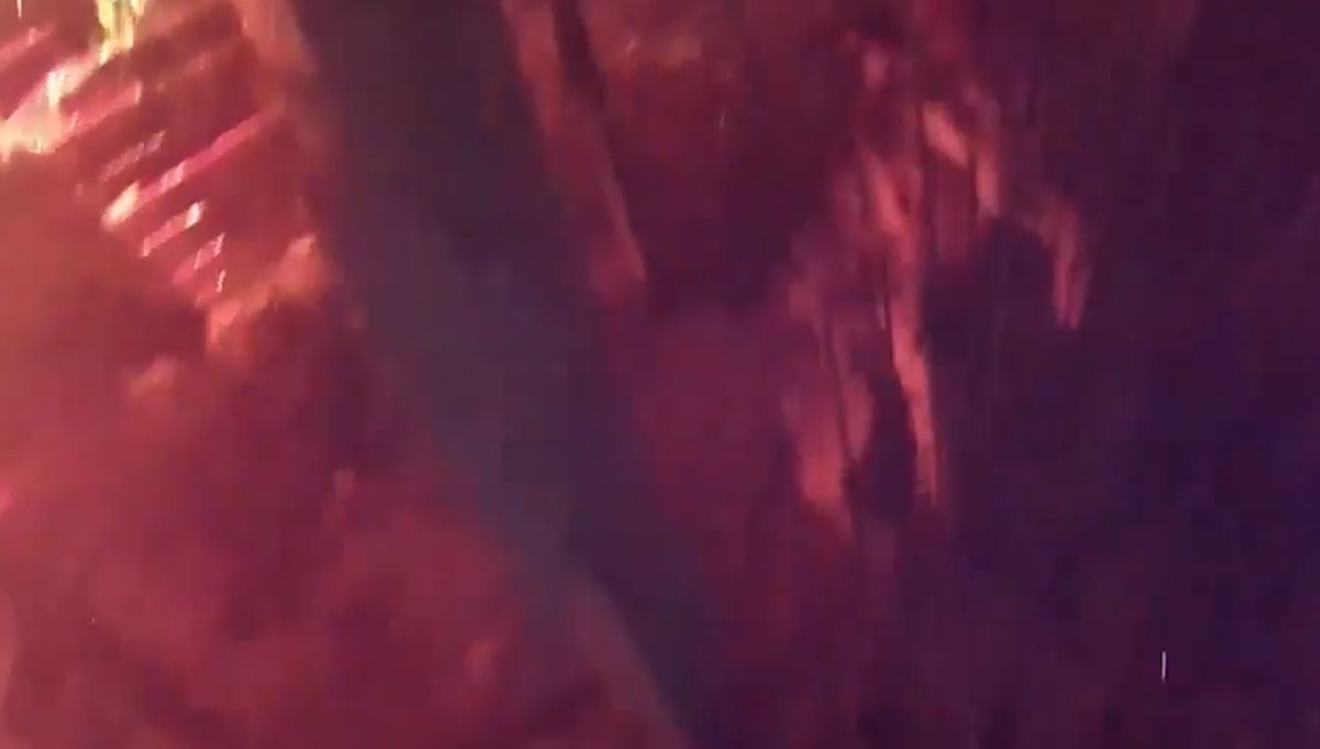 VIDEO Vatrogasac u Zagrebu spasio psa zatvorenog u kavez od smrti u požaru