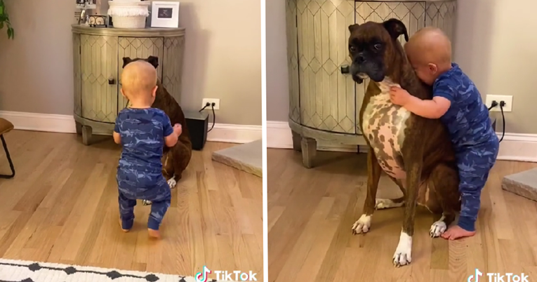 VIDEO Dječak napravio prve korake samo kako bi zagrlio svog psa, prizor je presladak