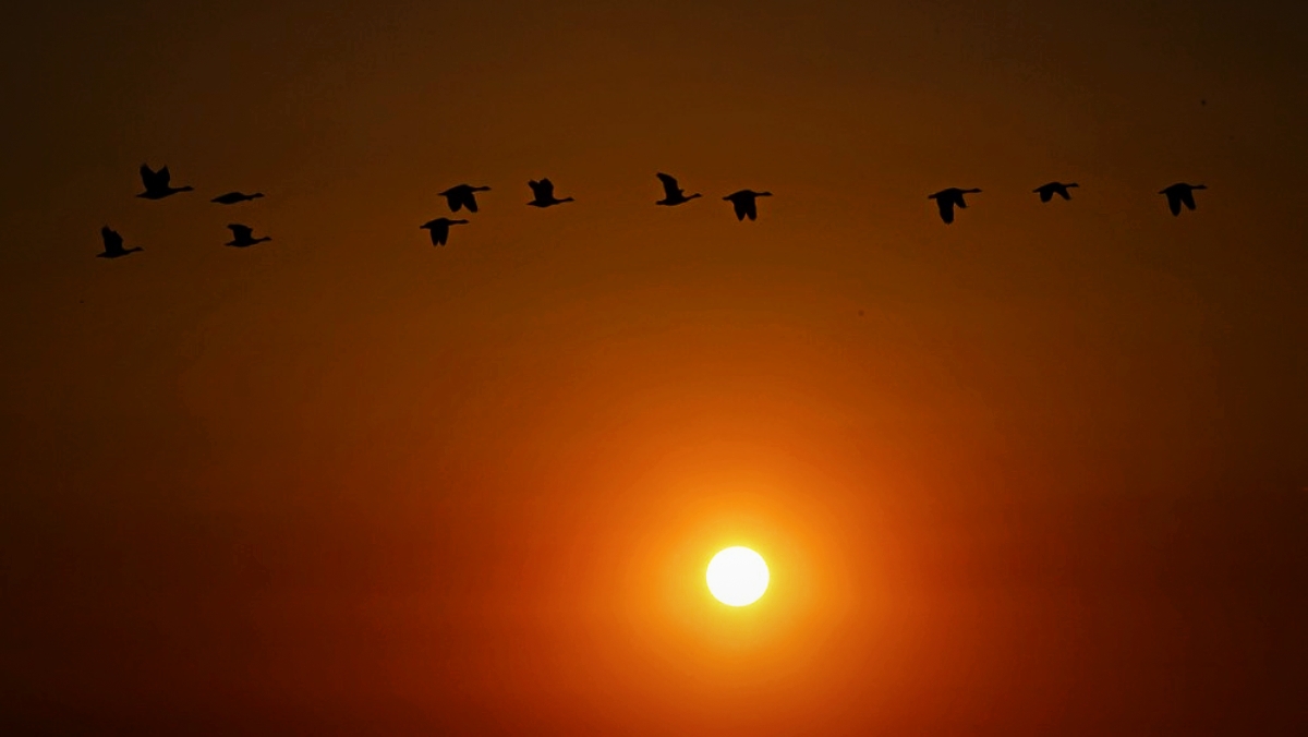 Globalna prosječna temperatura prvi put 2°C iznad sezonskog prosjeka