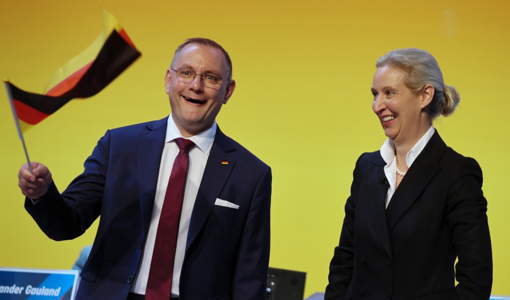 AfD najavio borbu protiv "antinjemačke" kulture