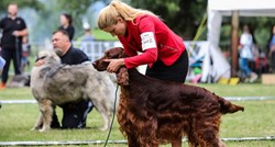 Održana nacionalna izložba pasa u Zagrebu, ponosni vlasnici pokazali svoje ljubimce