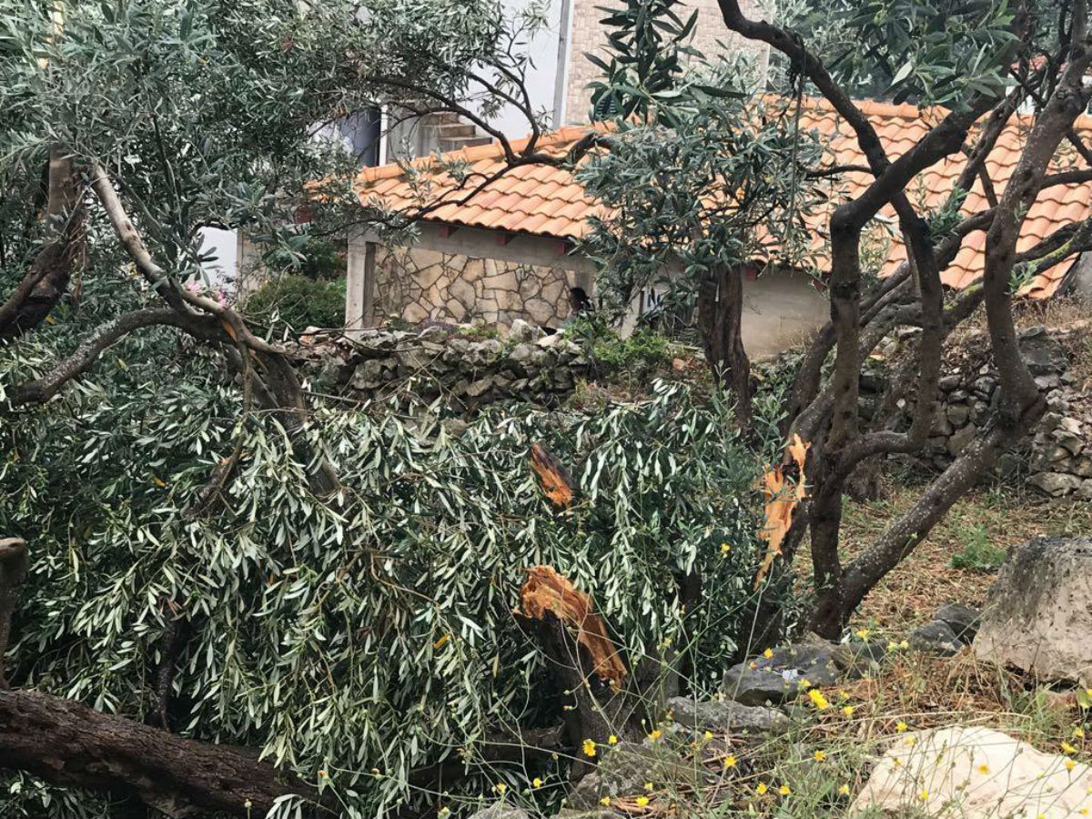 FOTO Pijavica poharala Korčulu, pogledajte štetu koju je napravila