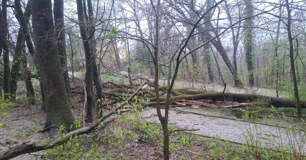 FOTO Devastirana park-šuma Tuškanac