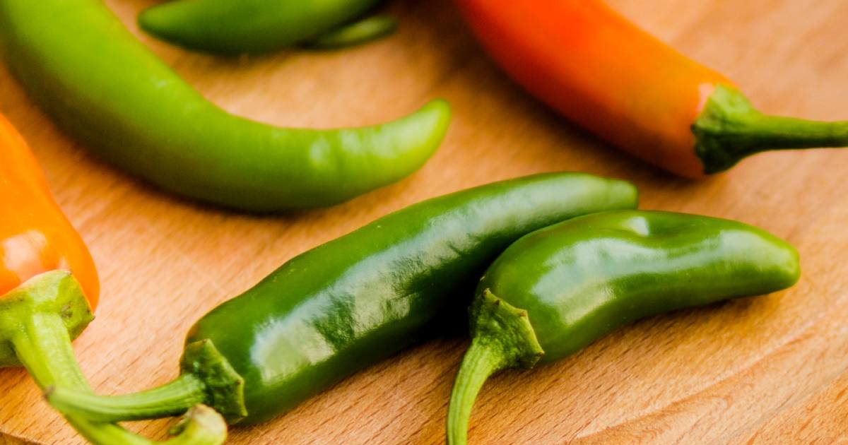 Jalapeno papričice iz Meksika izazvale epidemiju salmonele u SAD-u
