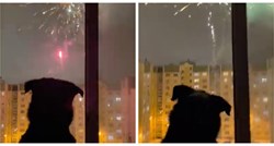 Radoznali pas oduševio je milijune diljem svijeta, pogledajte kako uživa u vatrometu