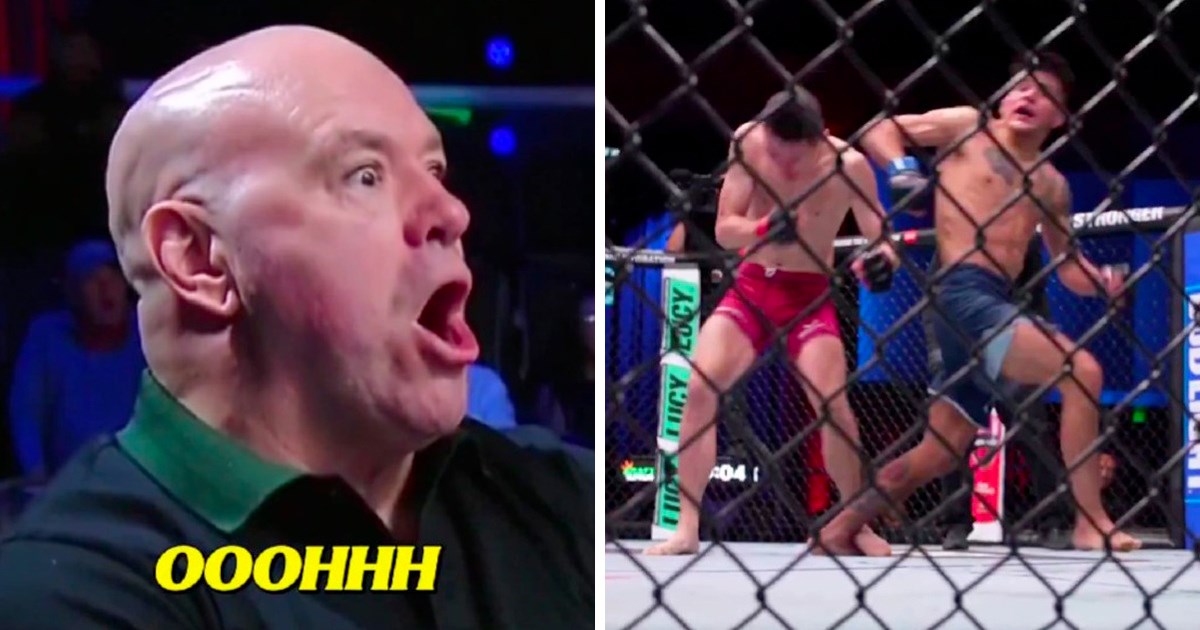 Brutalan nokaut. Poslušajte kako je udarac odjeknuo i pogledajte reakciju Dane Whitea