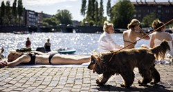 Ako planirate putovanje sa psom, ovo su europski gradovi koje morate posjetiti