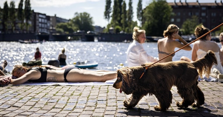 Ako planirate putovanje sa psom, ovo su europski gradovi koje morate posjetiti