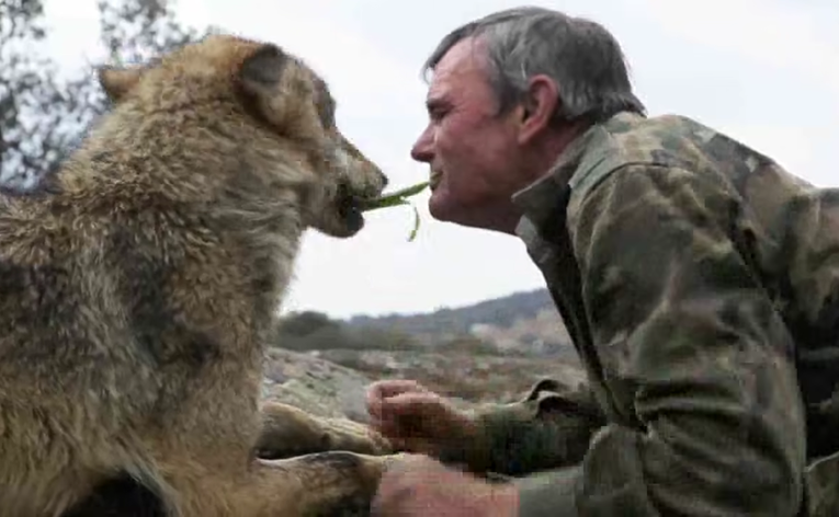 Umro je Španjolac kojeg su odgojili vukovi