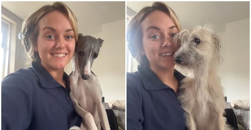 Žena usporedila udomljenog psa i psa s pedigreom, video je urnebes