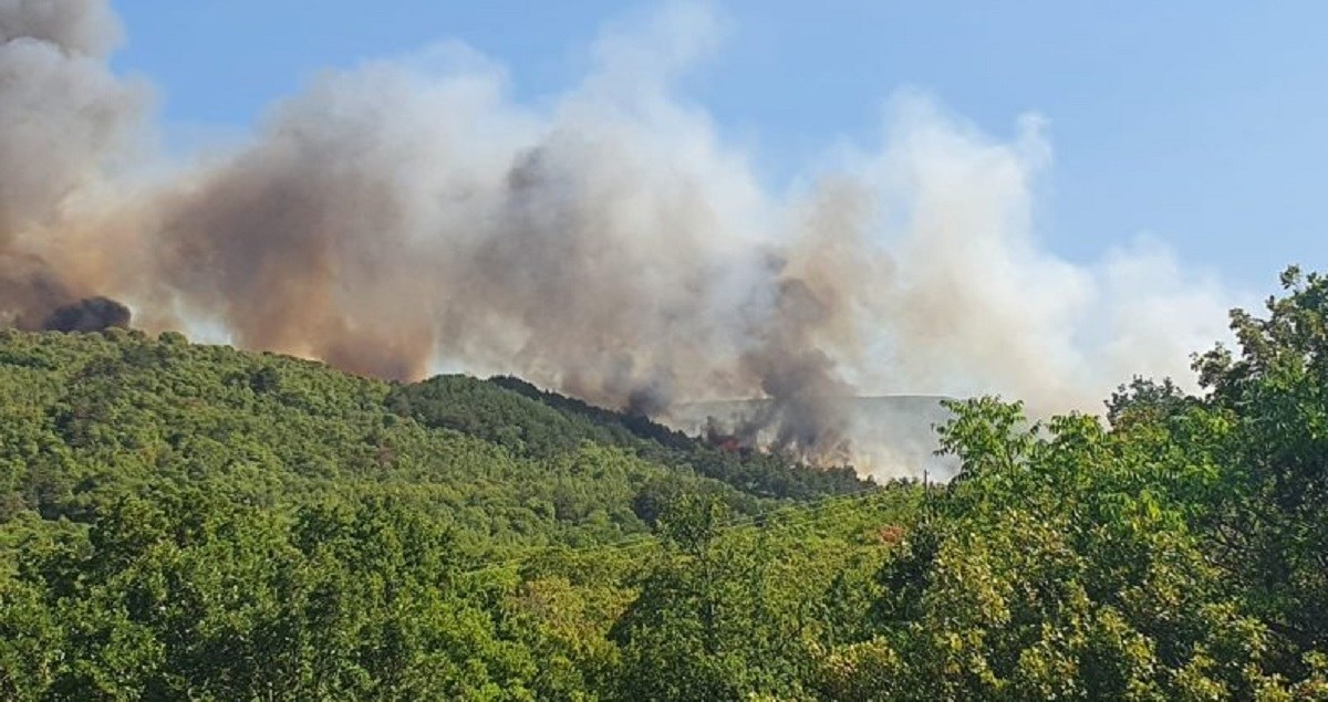 VIDEO Veliki požar kod Imotskog, gase ga tri kanadera. "Gori blizu kuća"