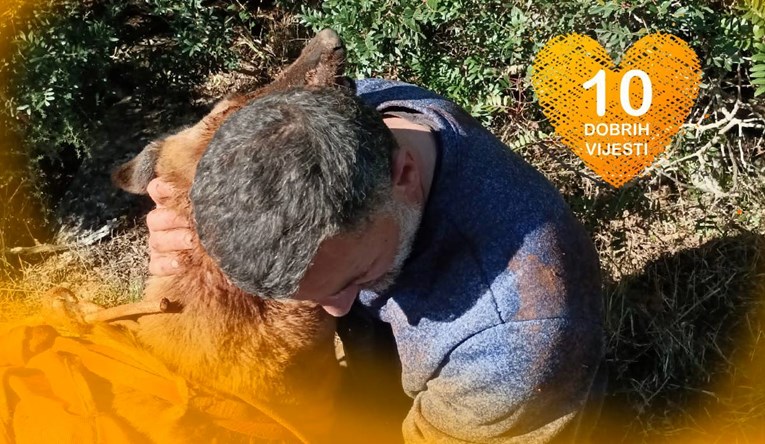 10 dobrih vijesti tjedna