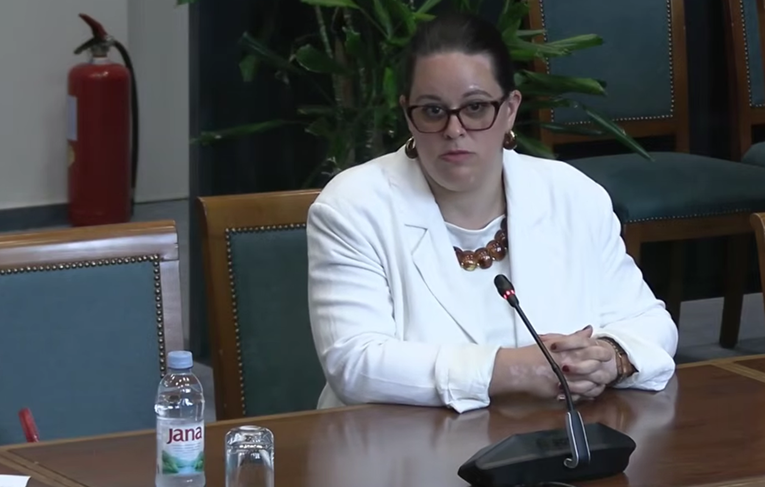 Kandidatkinja za Ustavni sud: ZDS nema dvostruke konotacije, petokraka ima