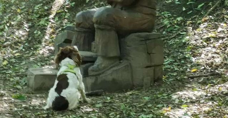 Smiješni pas pokušava se igrati s kipom i nije mu jasno zašto kip ne uzvraća
