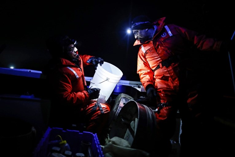 Muskov DOGE maknuo ključne ljude istraživanja na Antarktici: "Bez njih sve staje"