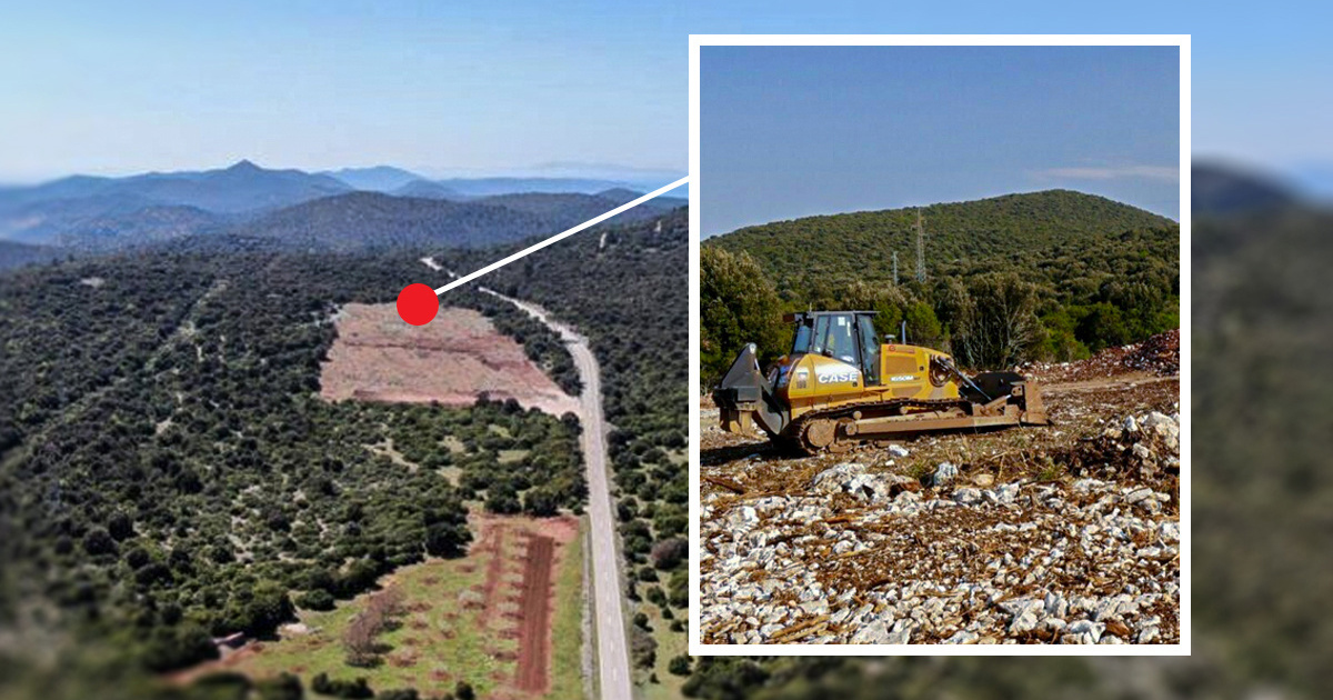 VIDEO I FOTO Na Korčuli pretvorili zaštićenu šumu u deponij