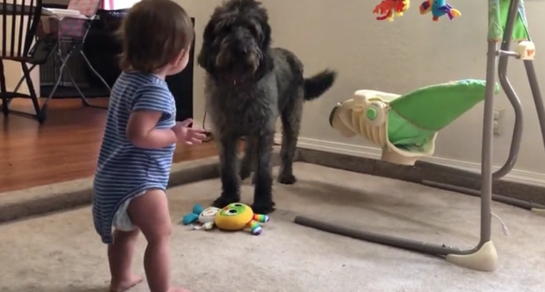 Pas bebu učio da sjedne na smiješan način, njoj se baš i nije svidjelo