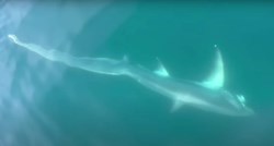 VIDEO Dječak u Italiji uhvatio morskog psa od tri metra i sto kila