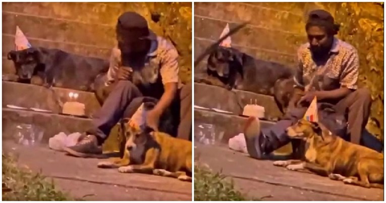 VIDEO Beskućnik organizirao proslavu rođendana za svoje pse, prizor ganuo mnoge