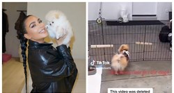 PETA kritizira Kim Kardashian: "Nadamo se da pse ne drži u garaži"