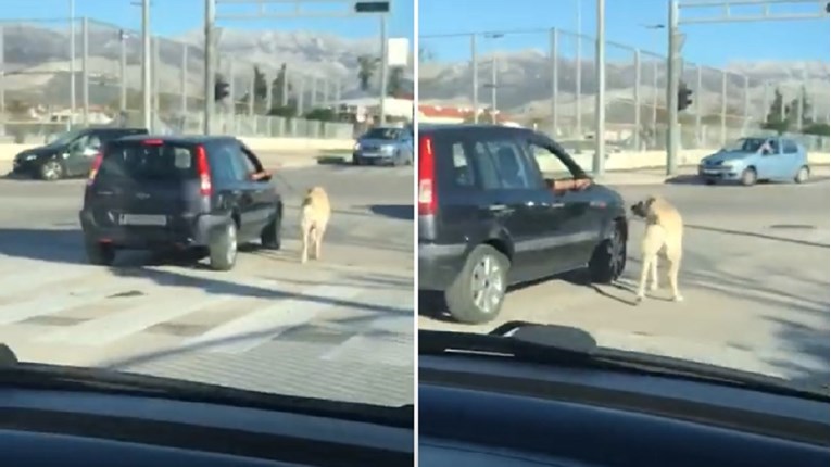 VIDEO Vozači u Splitu nisu mogli vjerovati što vide na cesti, nije im bilo ugodno