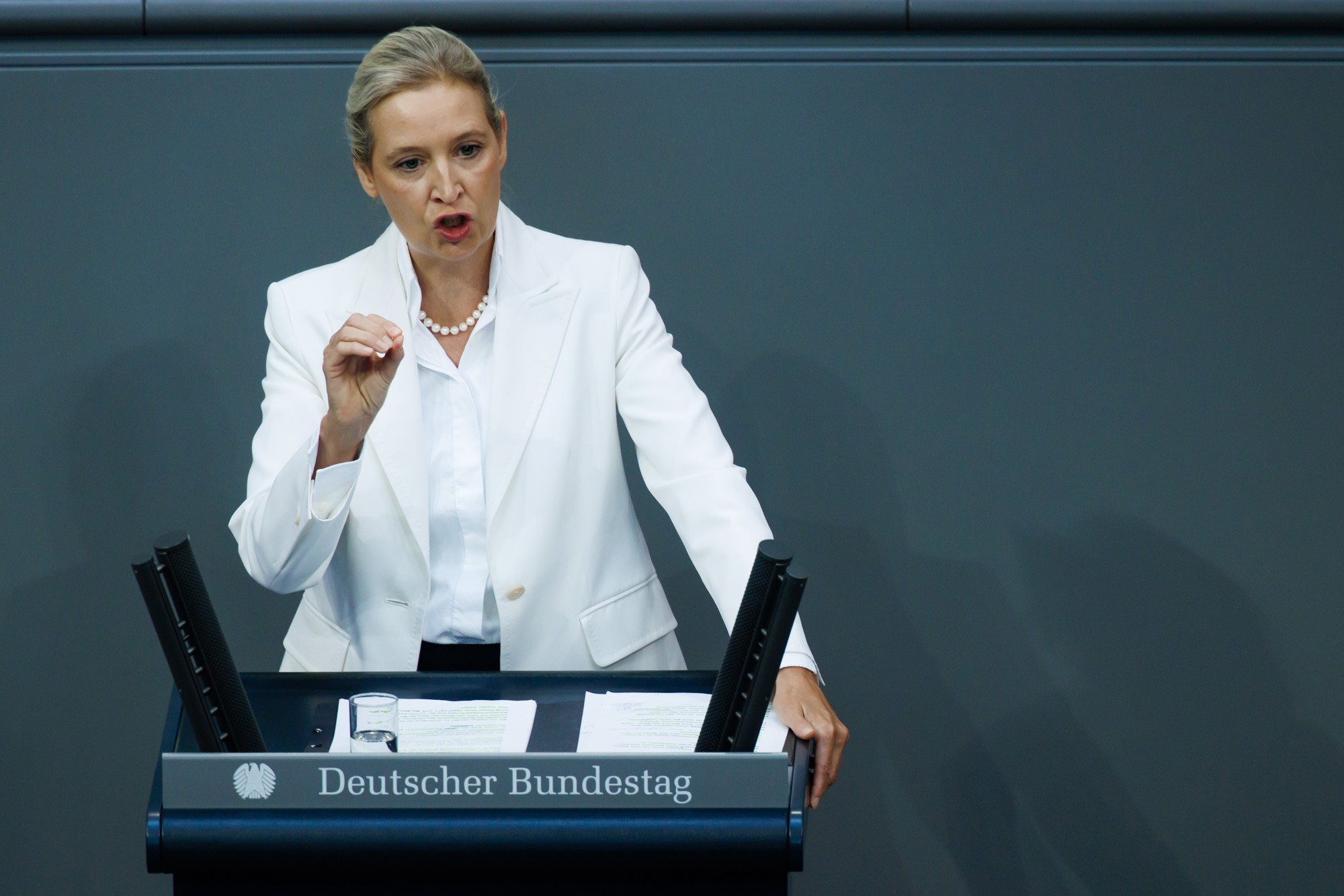 Šefica AfD-a rekla da Ljevica želi streljati bogate, napala i Merza