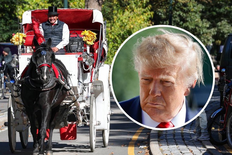 New York ukida vožnje kočijama nakon nesreće. Trump: Aute niste ukinuli
