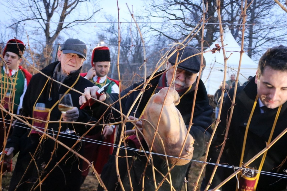 Spektakularna proslava Vincelova Kutjeva d.d.