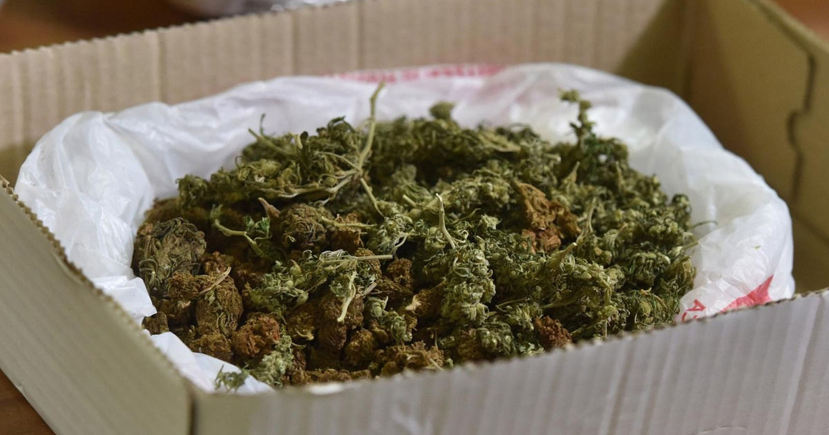 Na Hvaru pronađeno više od 1.2 kilograma marihuane, muškarac uhićen