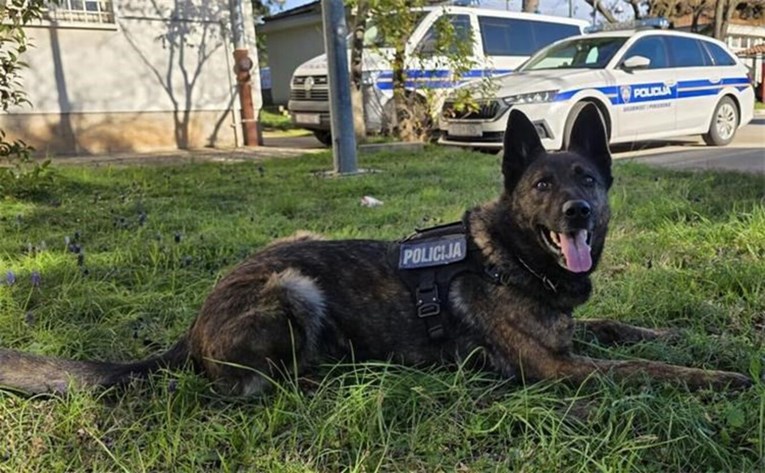 Policijski pas Gana nanjušio kokain u kombiju na autocesti